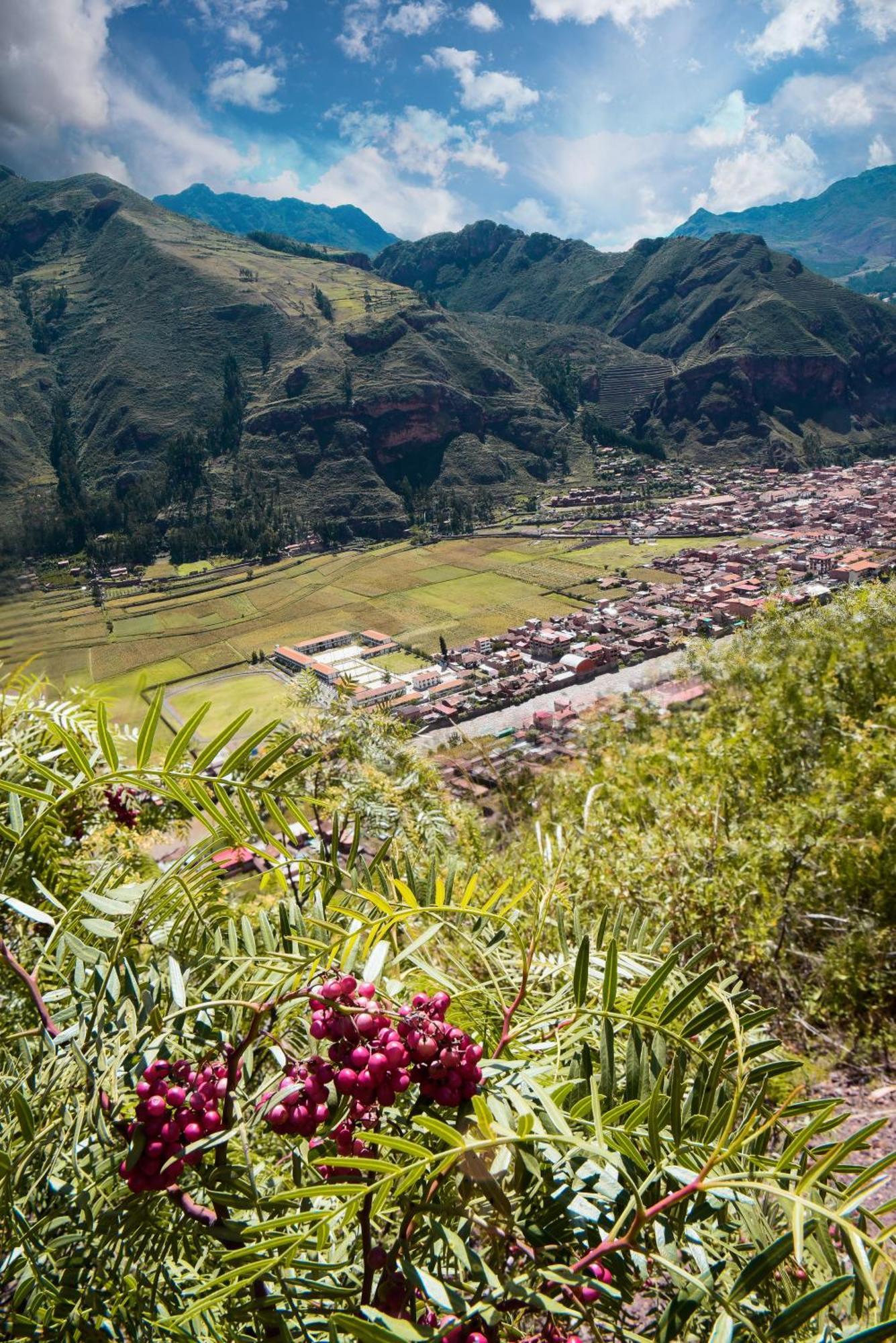 Rumi Lodge 皮萨克 外观 照片